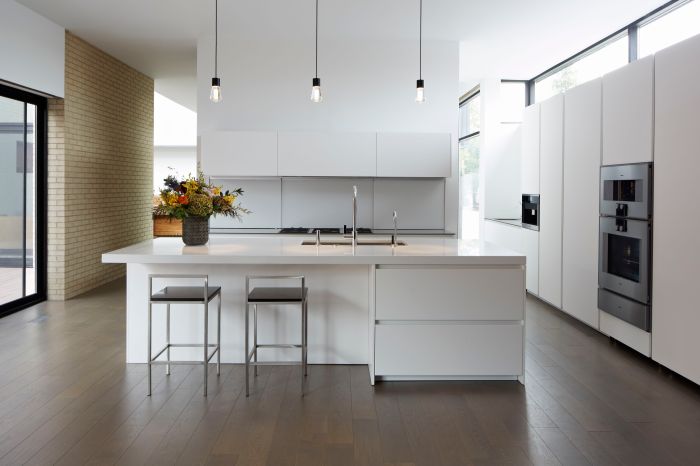 Minimalist kitchen sleek modern designing article